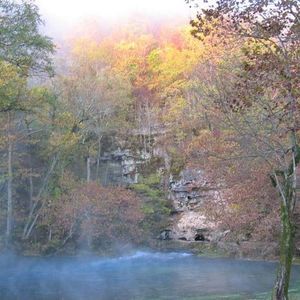 Meet your Posher, Lynn