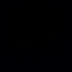 Meet your Posher, Cameron