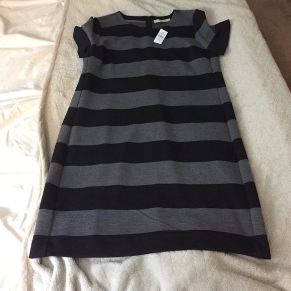 Brand new LOFT dress! Tags still on!