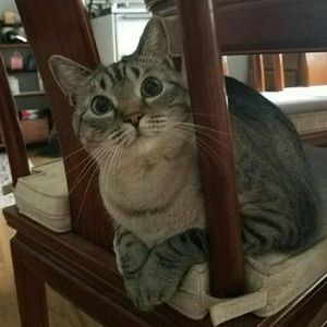 Meet your Posher, Bryce