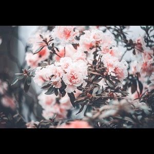 Meet your Posher, Heidi