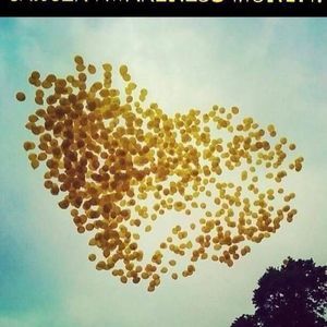 Meet your Posher, Jennefer