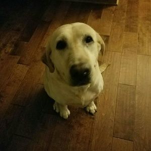 Meet your Posher, Barbie