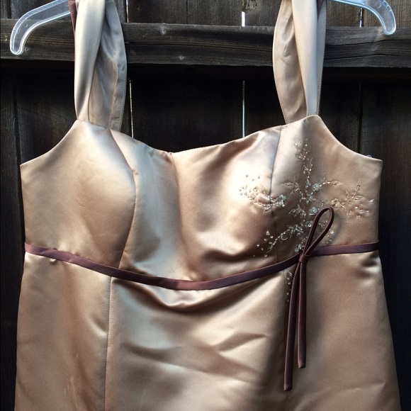 Champagne beaded dress - Picture 2 of 4