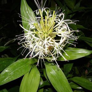 Meet your Posher, Hsien