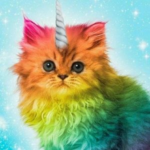 Meet your Posher, Carly