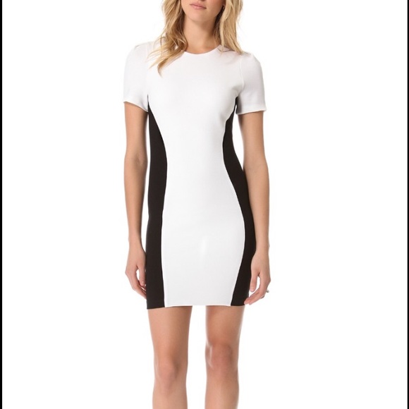 NWOT Torn by Ronny Kobo Dress