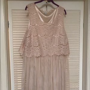 EUC Super cute blush plus size dress