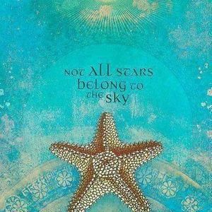 Meet your Posher, Summer