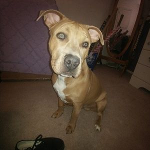 Meet your Posher, Brooke