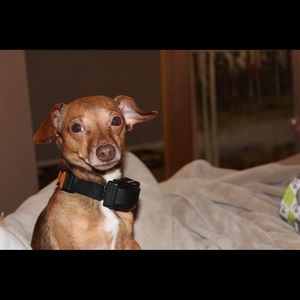 Meet your Posher, Robert