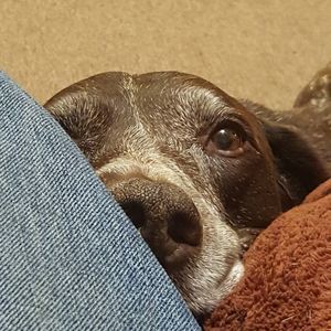 Meet your Posher, Jonathan