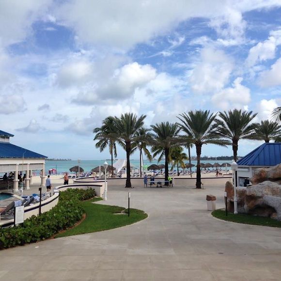 Meet your Posher, Isabella - Picture 1 of 1