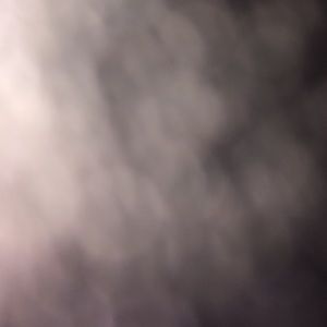 Meet your Posher, Kiley