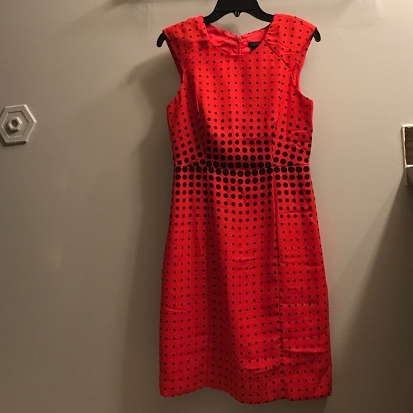 J. Crew Dress