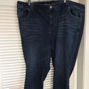 EUC Lane Bryant jeans