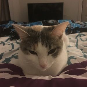 Meet your Posher, Karyn