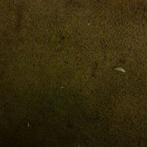 Meet your Posher, Priscilla