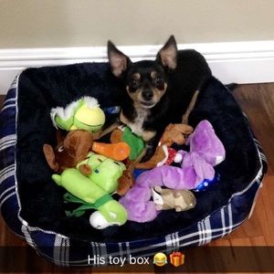 Meet your Posher, Kayla