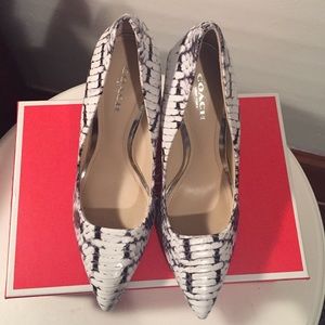 Coach Snake Print Leather shoes.