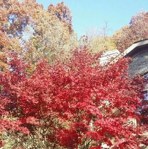 Meet your Posher, Franka