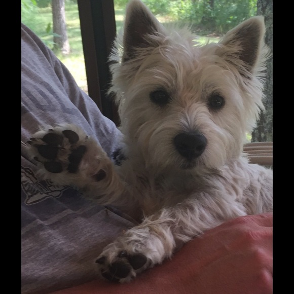 Meet your Posher, Michelle - Picture 1 of 1