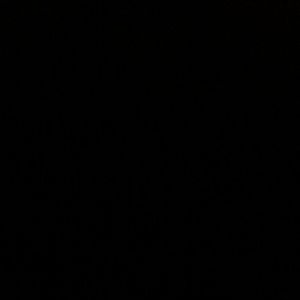 Meet your Posher, Donovan