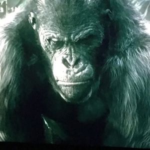 Meet your Posher, Salvatore