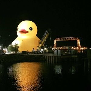 Meet your Posher, Tari