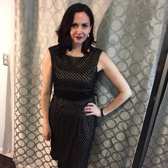 Adrianna Papell dress in black. NWT Size 8