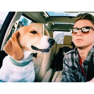 Meet your Posher, Jake