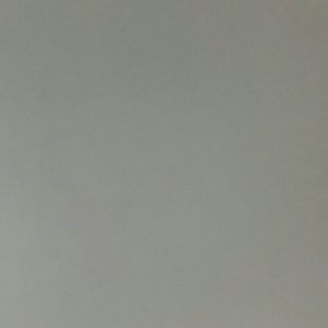 Meet your Posher, Shawna