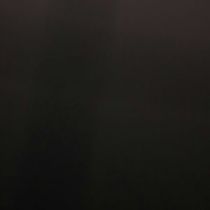 Meet your Posher, Sylvia