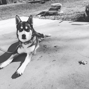 Meet your Posher, Jonathan