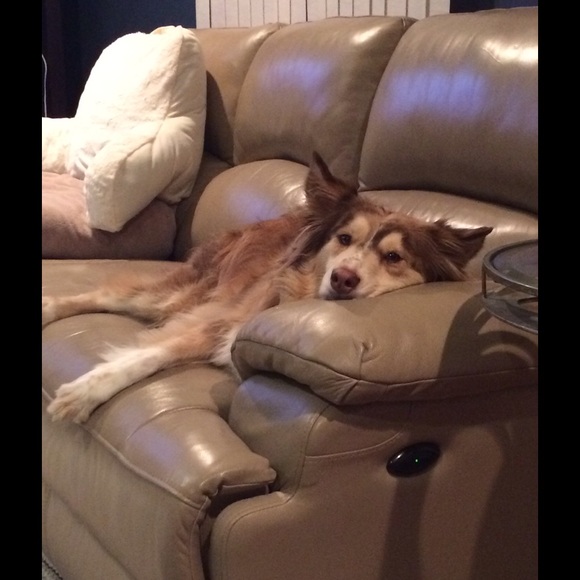 Meet your Posher, Melissa