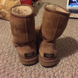 Short Chestnut UGG Boots