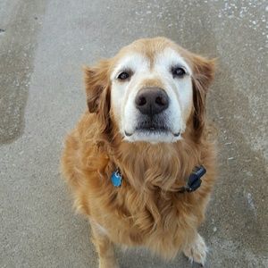 Meet your Posher, Jenni