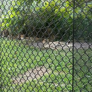 Meet your Posher, Faith