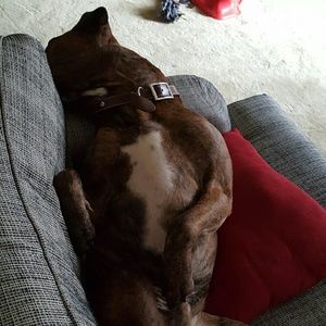 Meet your Posher, Sally