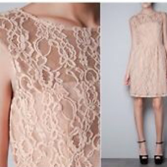 Zara Blush Lace A-Line Dress NWOT