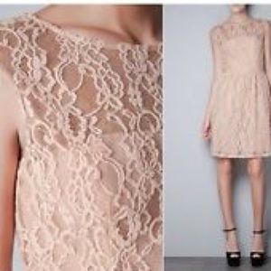 Zara Blush Lace A-Line Dress NWOT