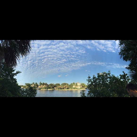 Meet your Posher, Brady - Picture 1 of 1