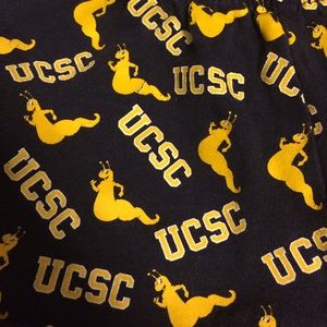 UC Santa Cruz Booty Shorts