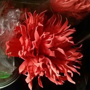 Meet your Posher, Shelley