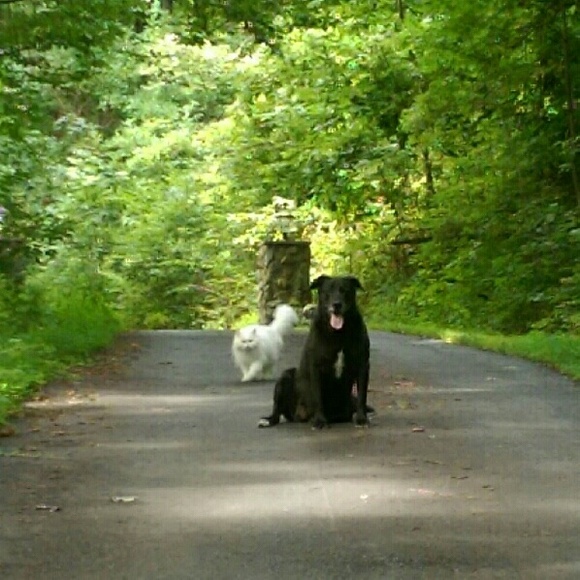 Meet your Posher, Kristen