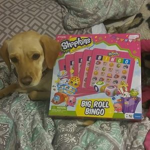 Shopkins big roll bingo