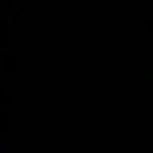 Meet your Posher, Shani