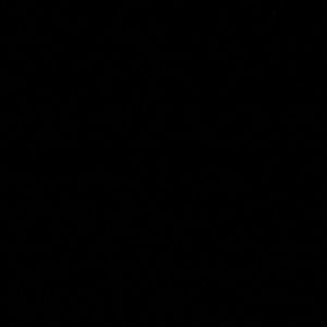 Meet your Posher, Ella