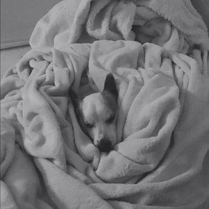 Meet your Posher, Michelle