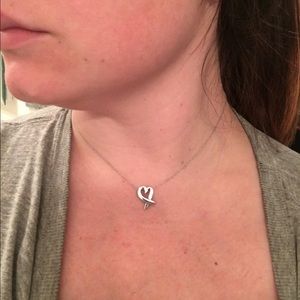 Tiffany & Co Paloma Picasso Necklace (Silver)